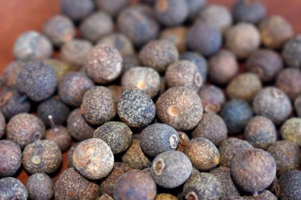 Premium Allspice Selection